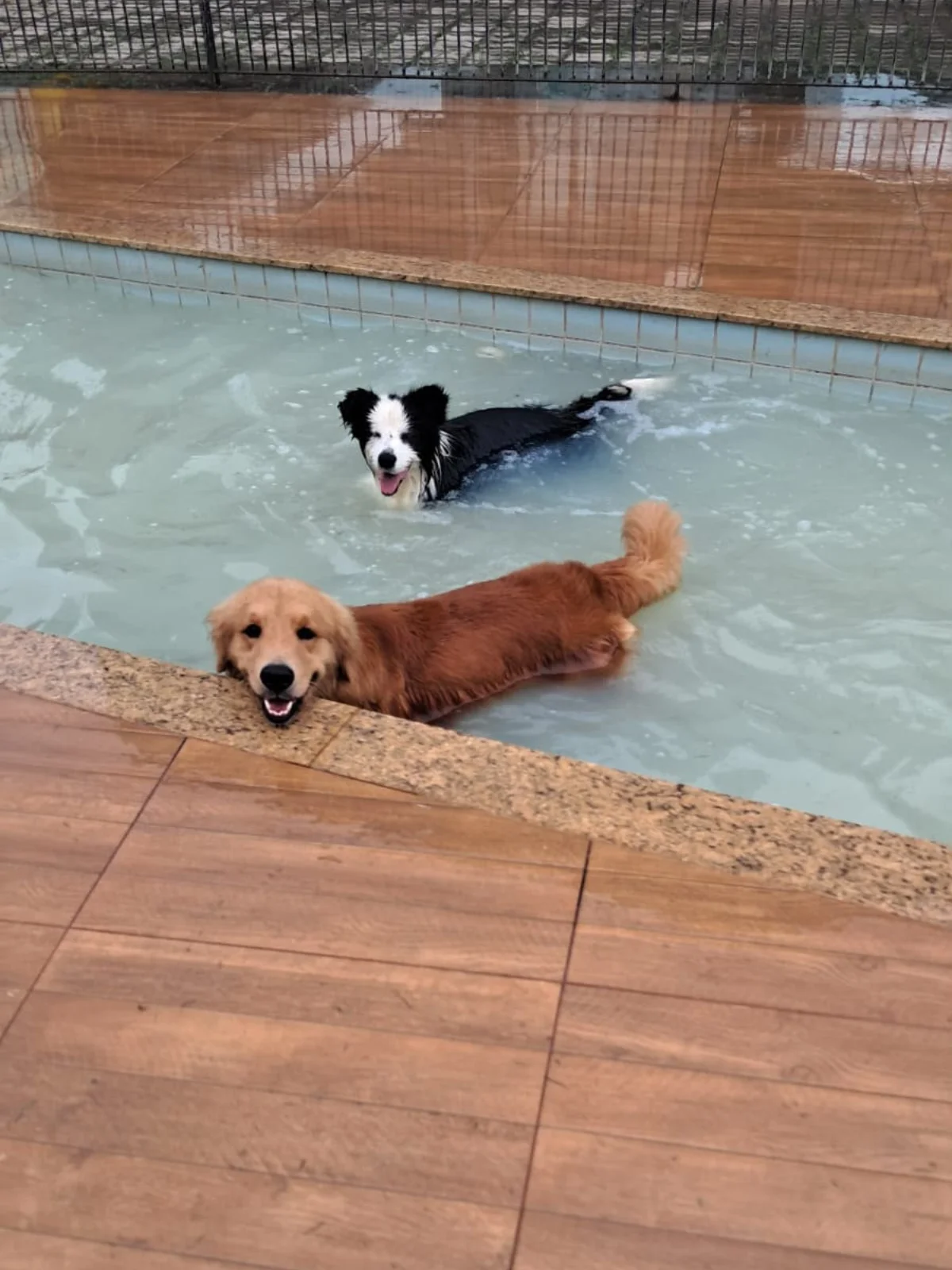 Hdog Humanize Vet & Pet - Área externa