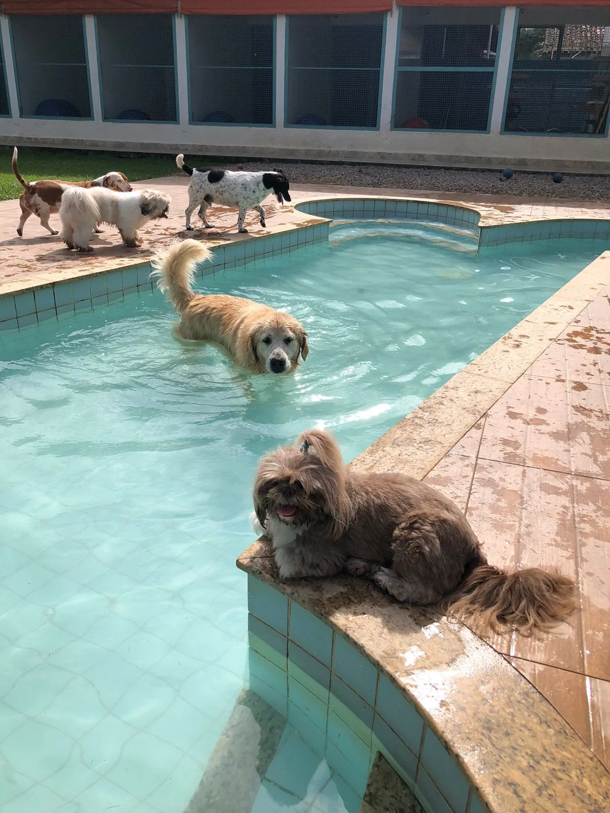 Hdog Humanize Vet & Pet - Fotos da clínica em Caraguatatuba