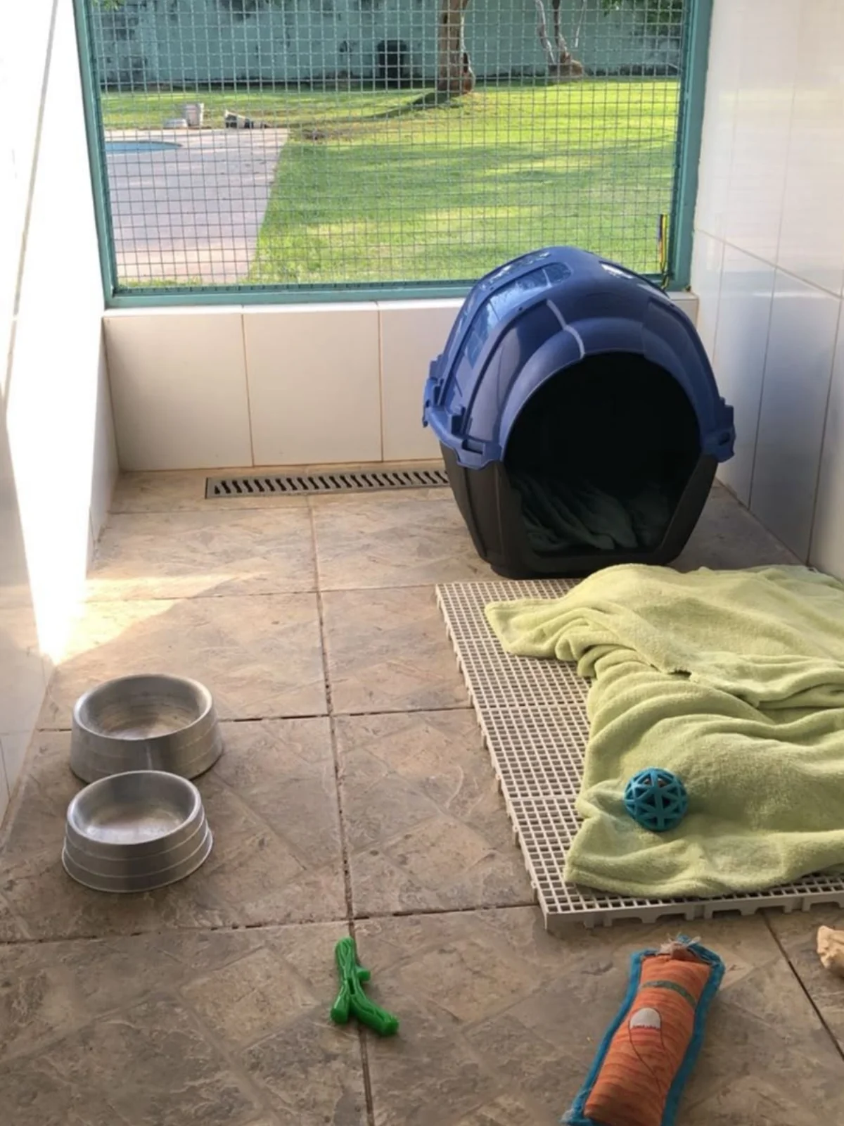 Hdog Humanize Vet & Pet - Creche pet