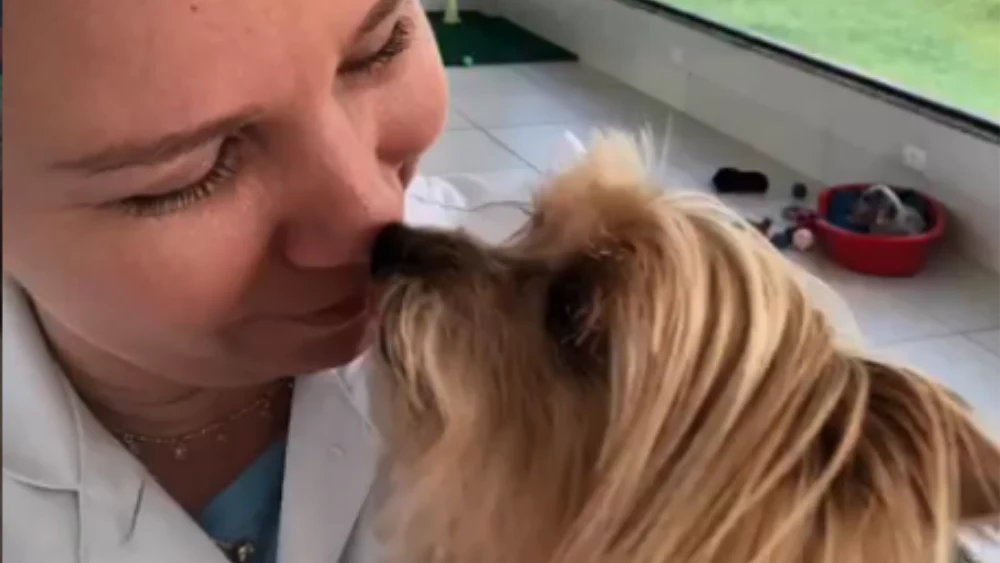 Clínica Veterinária em Caraguatatuba - Consulta veterinária para cães e gatos