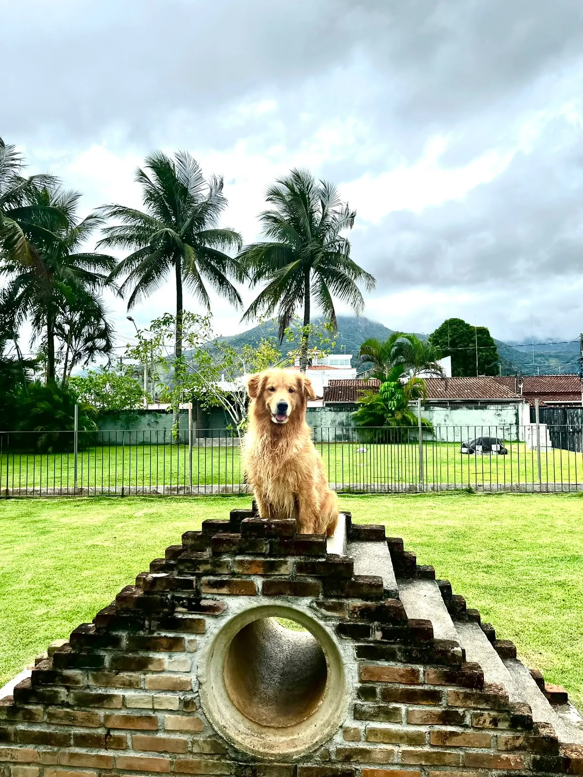 Hdog Humanize Vet & Pet - Consultório veterinário