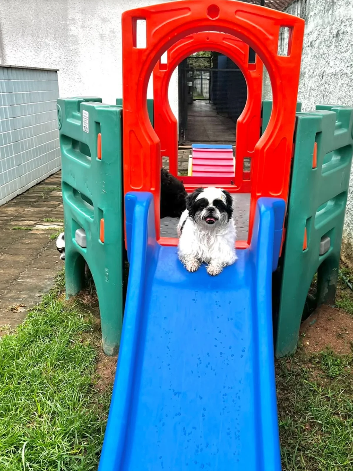 Hdog Humanize Vet & Pet - Espaço pet da clínica